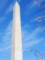 DC Thought Expertise Consulting Groups Think Tank: Resources for the GovConExecutive